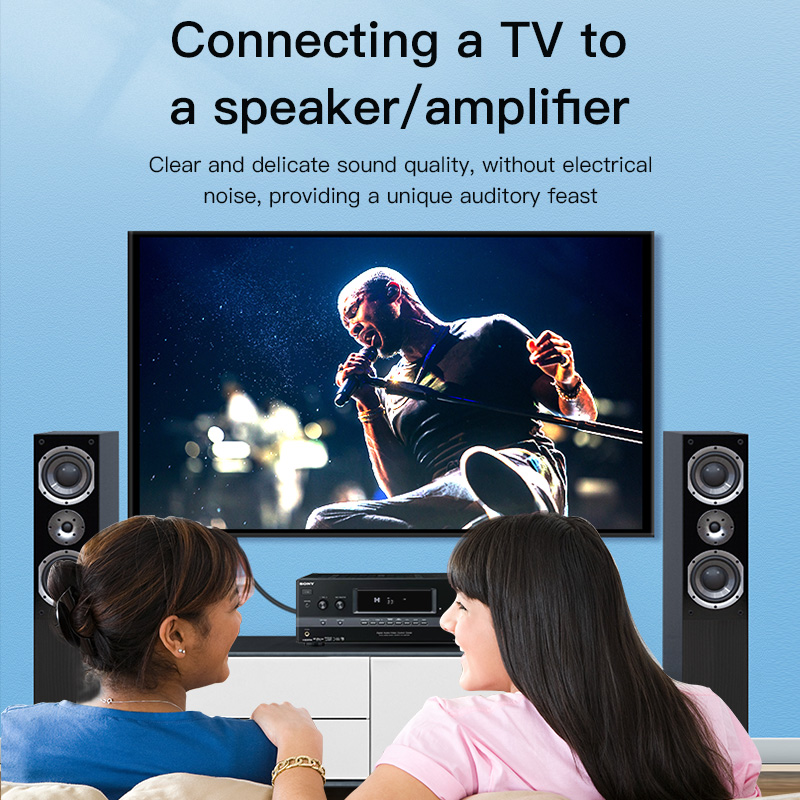 CHOSEAL RCA Cable Digital Coax - Home Cinema Subwoofer recension och pris
